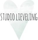Studio Lieveling