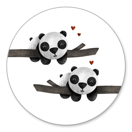 Tweeling panda's met takjes