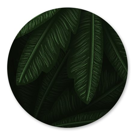 Jungle bladeren