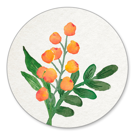 Botanical Detail