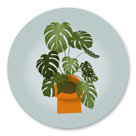 Housewarming Monstera