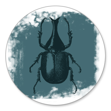 Insect met witte verf
