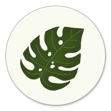 Monstera blad