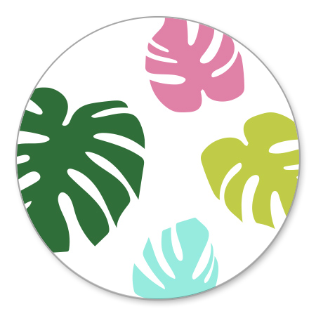 Gekleurde Monstera