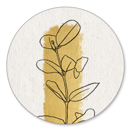 Papier, gouden streep en outline plantje