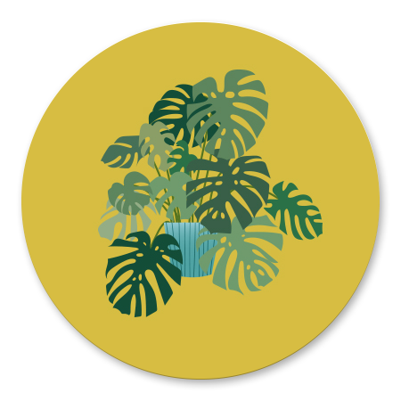 Nieuwe Woning Monstera