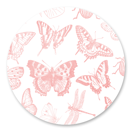 Vlinder patroon roze